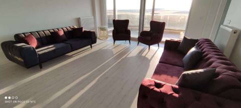 Medusa Home Mobilya - Ali Rıza Bey - İstanbul