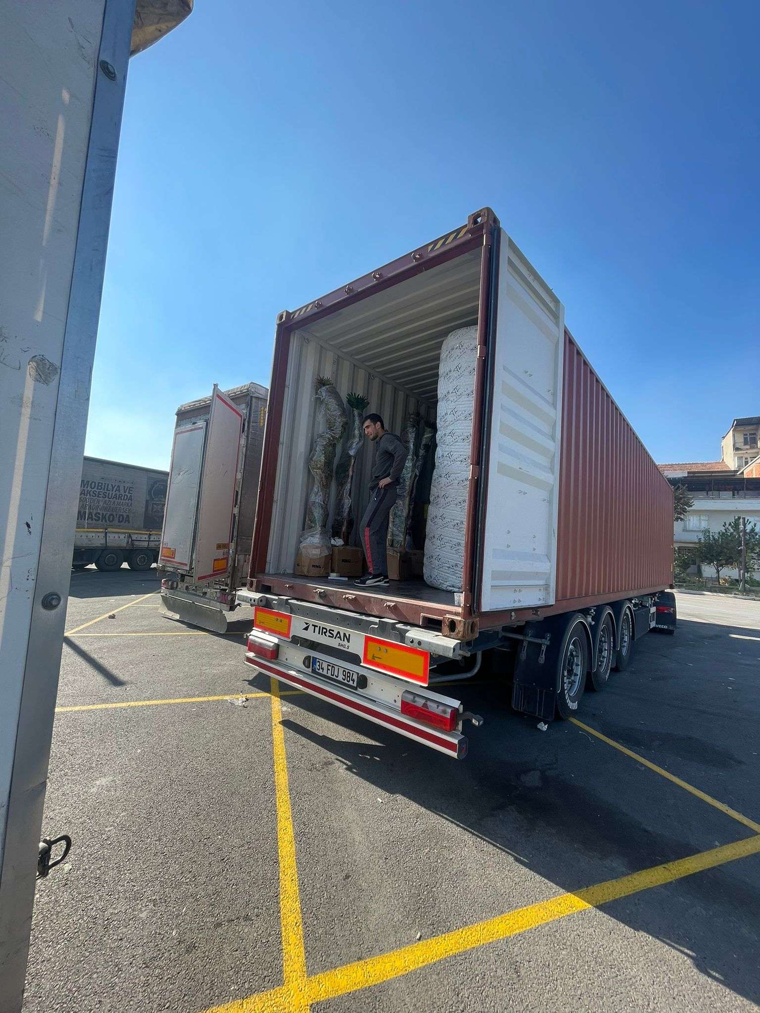 Medusa Home Mobilya - Asil Bey - Cibuti