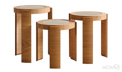 Medusa Home Mobilya - Begonvil Bohem Koltuk Takımı