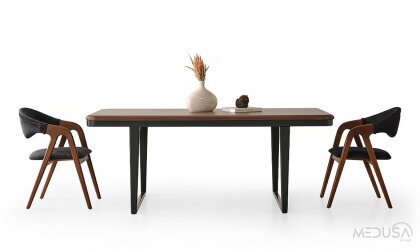 Medusa Home Mobilya - Bronz Yemek Odası