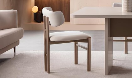 Medusa Home Mobilya - Diamond Sandalye