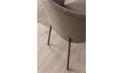 Medusa Home Mobilya - Forte Yemek Odası