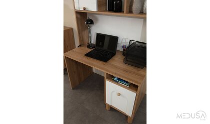 Medusa Home Mobilya - Freya Bohem Çalışma Masası