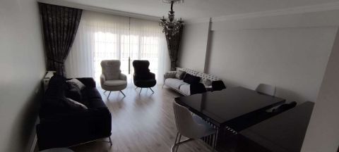 Medusa Home Mobilya - Halit Bey - Kocaeli