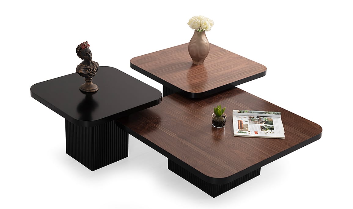 Medusa Home Mobilya - Loft Sehpa Seti