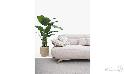 Medusa Home Mobilya - Lotis Koltuk Takımı