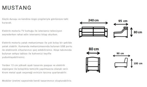 Medusa Home Mobilya - Mustang Koltuk Takımı