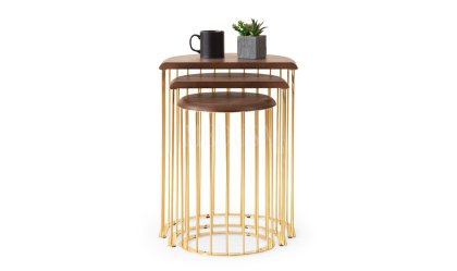 Medusa Home Mobilya - Nova Gold Zigon Sehpa