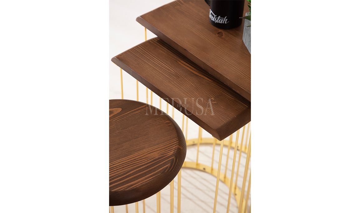 Medusa Home Mobilya - Nova Gold Zigon Sehpa