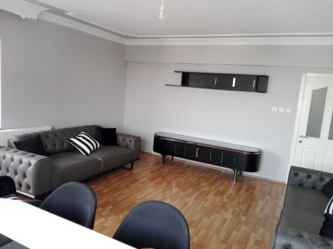 Medusa Home Mobilya - Oğuz Bey - Bursa