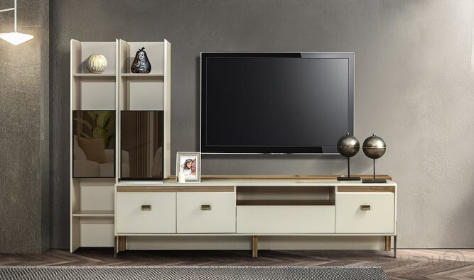 Opal Tv Ünitesi