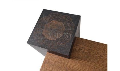 Medusa Home Mobilya - Pablo Ceviz Orta Sehpa