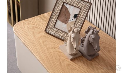 Medusa Home Mobilya - Salda Yaşam Odası