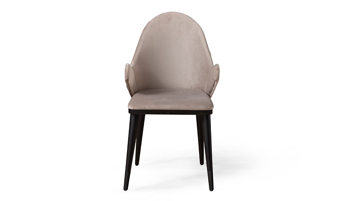 Medusa Home Mobilya - Tesla Silver Sandalye