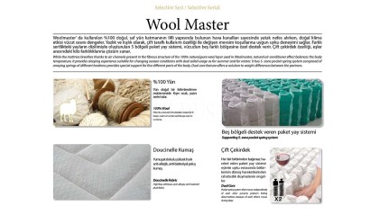 Medusa Home Mobilya - Wool Master Set Baza Başlık Yatak